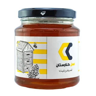 عسل شوید 350 گرمی