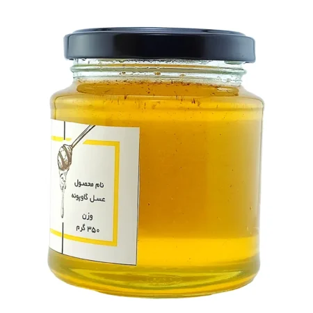 خرید عسل گاوپونه 350 گرمی 2