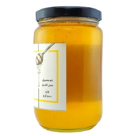 خرید عسل گشنیز 500 گرمی 2