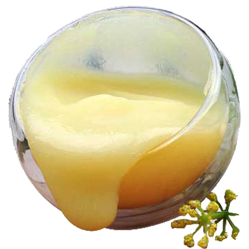 طریقه مصرف ژل رویال
