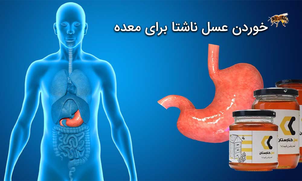 خوردن عسل ناشتا برای معده
