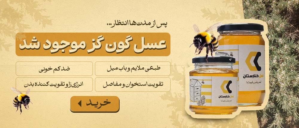 خرید عسل گون گز