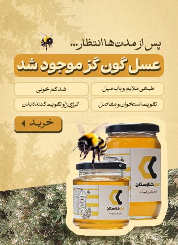 خرید عسل گون گز