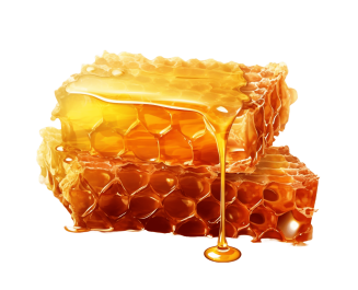 عسل